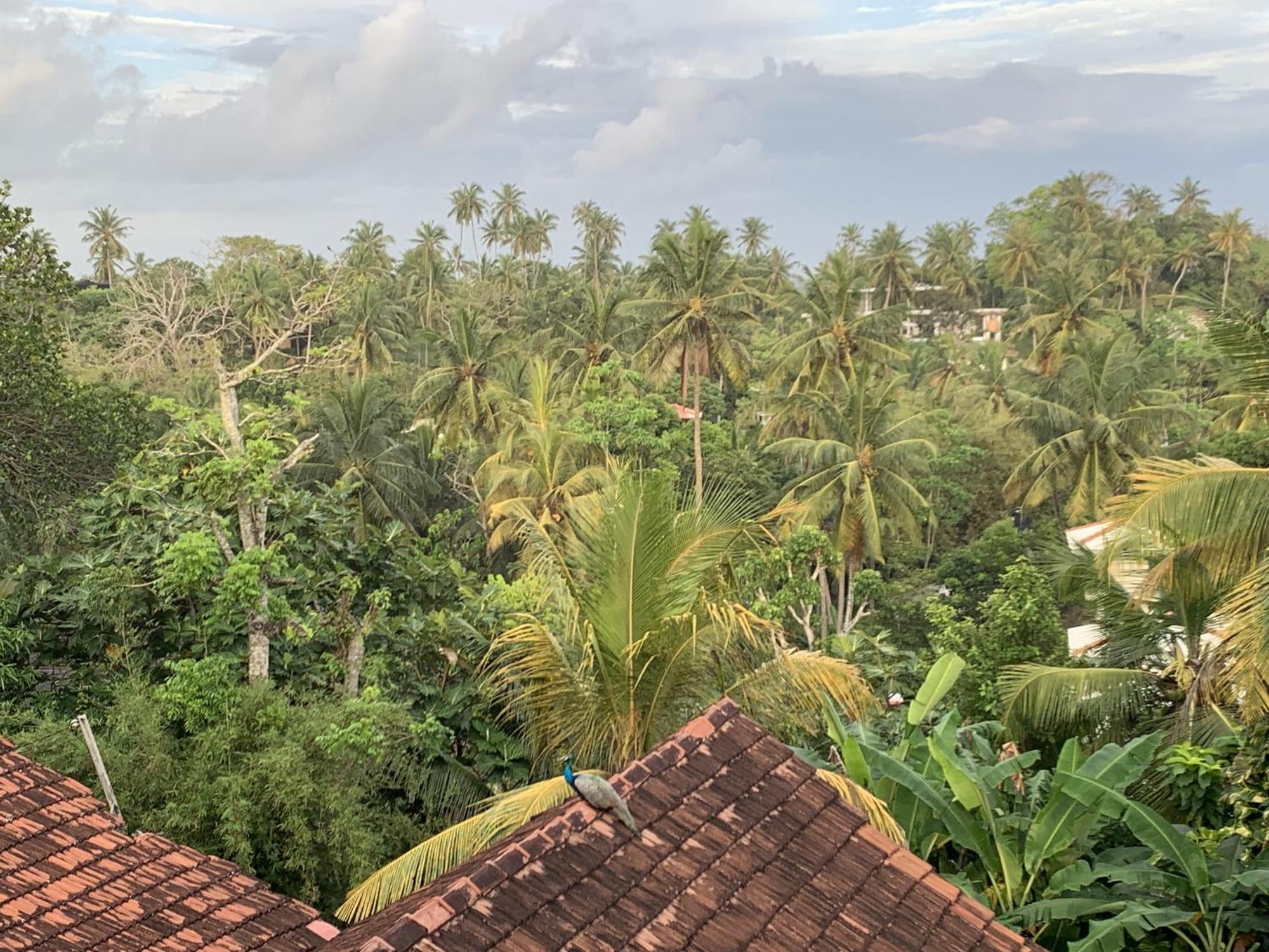 Arcadia Ocean View Daire Unawatuna Dış mekan fotoğraf